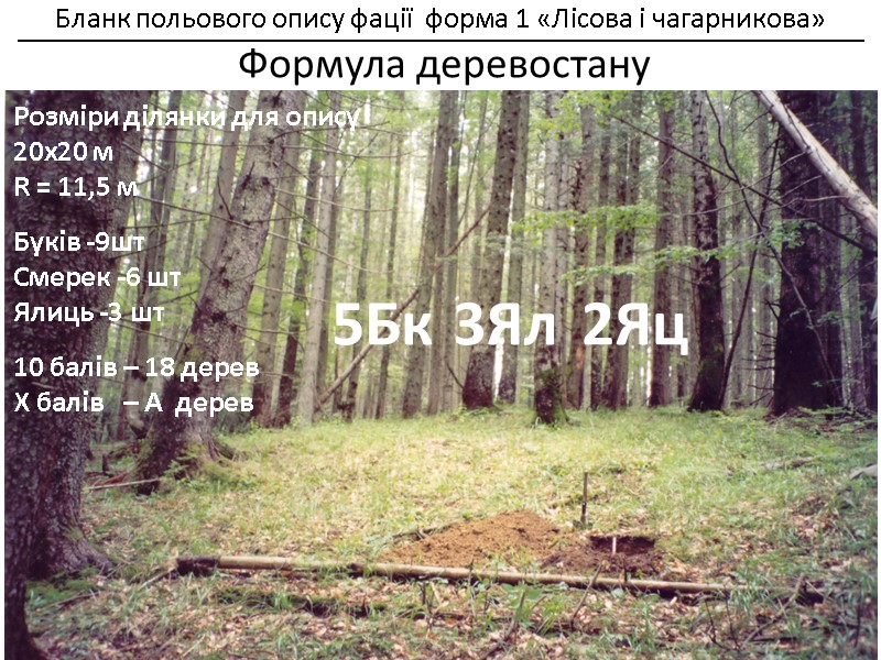 Бланк польового опису фації  форма 1 «Лісова і чагарникова»    __________________________________________________________